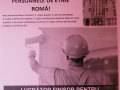 lucrator-finisor-2